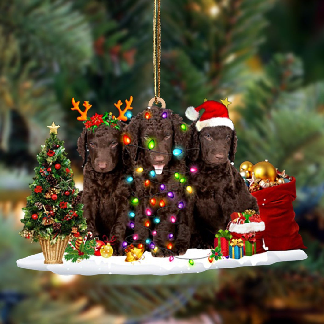 Ornament- Curly Coated Retriever-Christmas Dog Friends Hanging Ornament, Christmas Ornament, Car Ornament