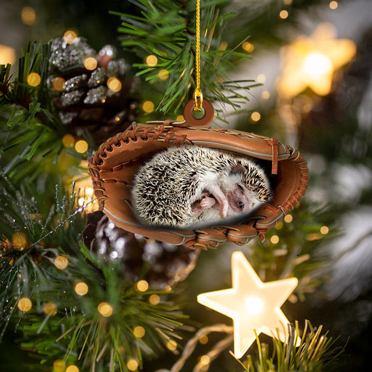 Shaped Ornament - Hedgehog - Dn Car Ornament