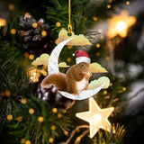 Squirrel Christmas Shaped Ornament DT69-CT-1147