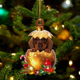 Dachshund3In Golden Egg Christmas Ornament