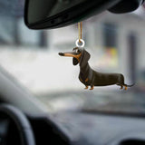 Dachshund-Look At Me-Two Sided Ornament