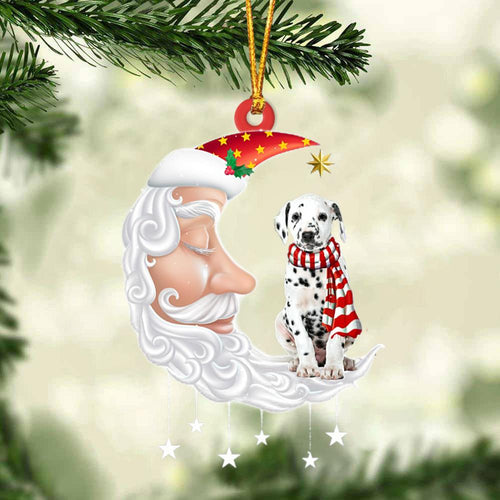 Dalmatian With Santa Christmas Ornament Dog Christmas Ornament