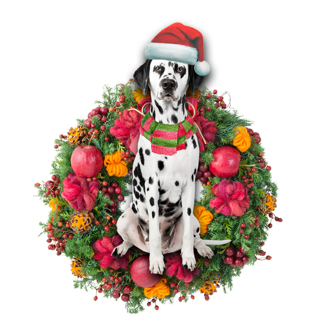 Godmerch- Ornament- Dalmatian Christmas Ornament, Happy Christmas Ornament, Car Ornament