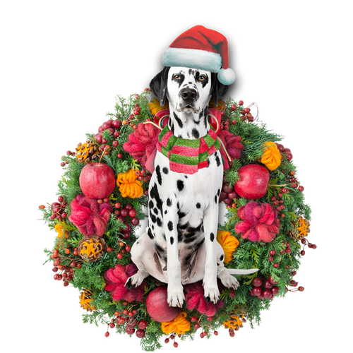 Godmerch- Ornament- Dalmatian Christmas Ornament, Happy Christmas Ornament, Car Ornament