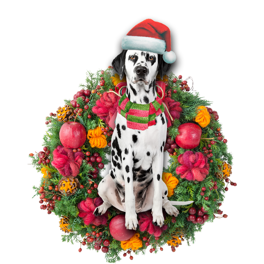 Godmerch- Ornament- Dalmatian Christmas Ornament, Happy Christmas Ornament, Car Ornament