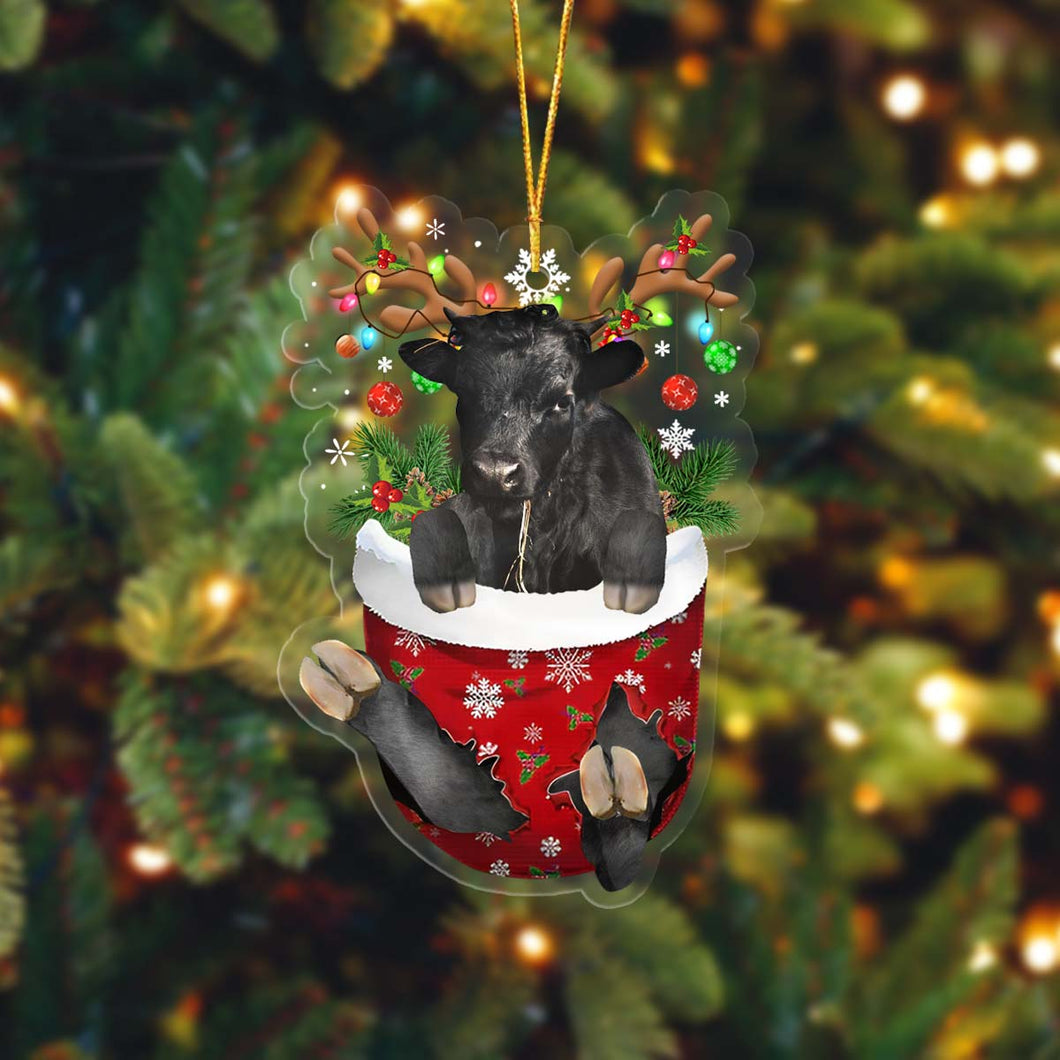 Dexter In Pocket Acrylic Ornament, Farm Christmas Ornament