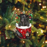 Dexter In Pocket Acrylic Ornament, Farm Christmas Ornament