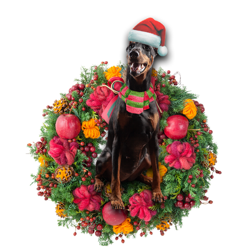 Godmerch- Ornament- Doberman Christmas Ornament, Happy Christmas Ornament, Car Ornament