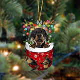 Ornament- Dobermann Pinscher-In Christmas Pocket Two Sides Ornament, Happy Christmas Ornament, Car Ornament