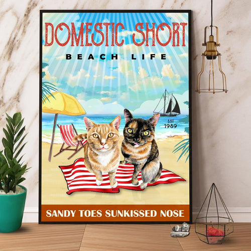 Domestic Short Cat Beach Life Canvas And Poster, Wall Decor Visual Art