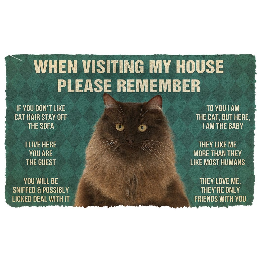 3D Please Remember Persian Cat House Rules Doormat
