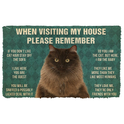 3D Please Remember Persian Cat House Rules Doormat