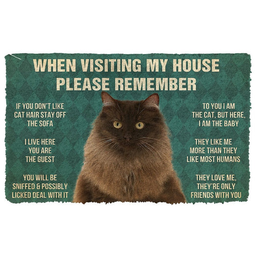 3D Please Remember Persian Cat House Rules Doormat