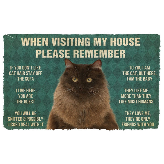 3D Please Remember Persian Cat House Rules Doormat