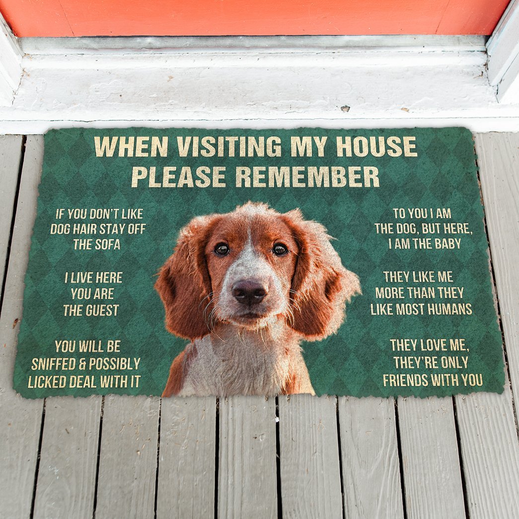3D Please Remember Irish Red and White Setter Dogs House Rules Doormat