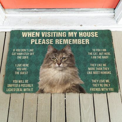 3D Please Remember Norwegian Forest Cat House Rules Doormat