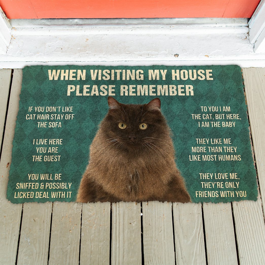 3D Please Remember Persian Cat House Rules Doormat
