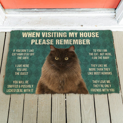 3D Please Remember Persian Cat House Rules Doormat