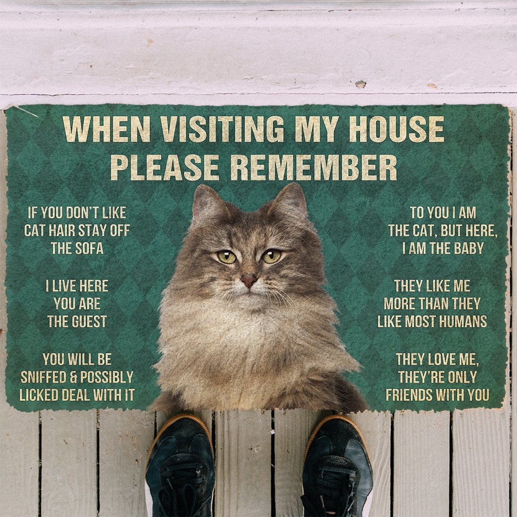 3D Please Remember Norwegian Forest Cat House Rules Doormat
