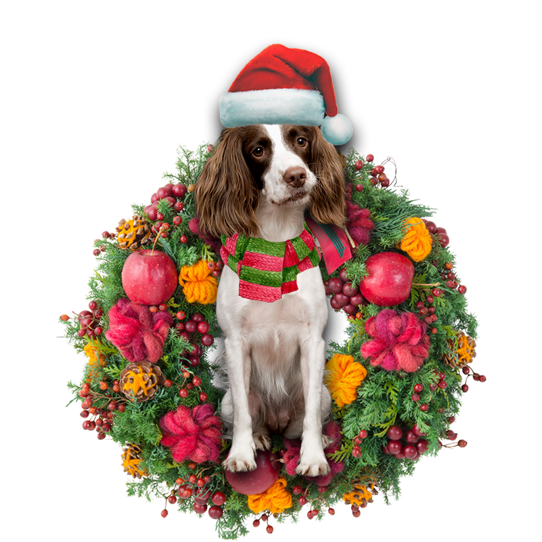 Godmerch- Ornament- English Springer Spaniel Christmas Ornament, Happy Christmas Ornament, Car Ornament