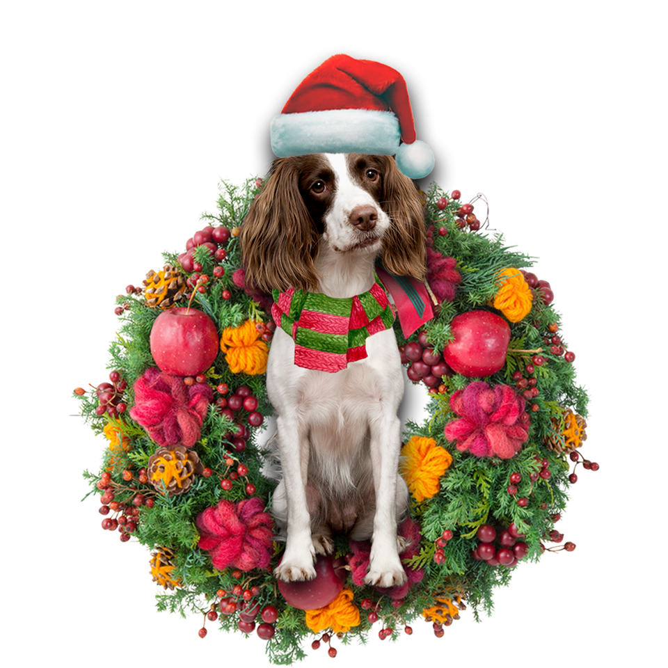 Godmerch- Ornament- English Springer Spaniel Christmas Ornament, Happy Christmas Ornament, Car Ornament