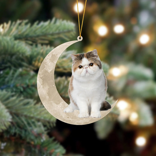 Exotic Shorthair Cat Sits On The Moon Hanging Ornament Cat Christmas Acrylic Ornament