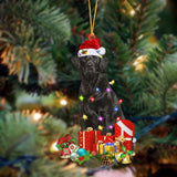 Ornament- Flat coated Retriever-Dog Be Christmas Tree Hanging Ornament, Christmas Ornament, Car Ornament