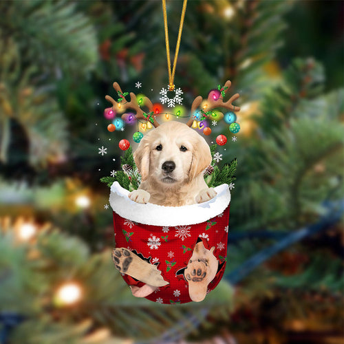 Ornament- Golden Retriever-In Christmas Pocket Two Sides Ornament, Happy Christmas Ornament, Car Ornament