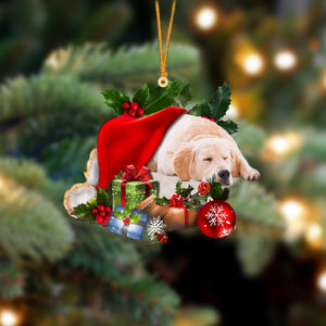 Golden Retriever-Sleeping In Hat Two Sides Ornament Dog Sleeping Ornament