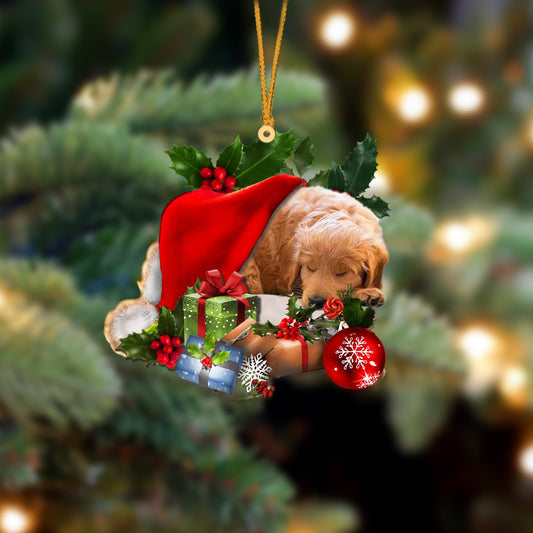 Goldendoodle-Sleeping In Hat Two Sides Ornament Dog Sleeping Ornament