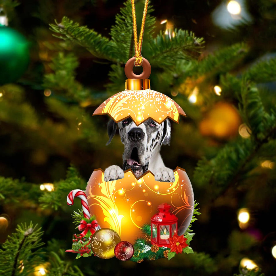 Great Dane2 In Golden Egg Christmas Ornament