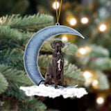 Godmerch- Ornament- Great Dane 02 Sits On The Moon Hanging Ornament Dog Ornament, Car Ornament, Christmas Ornament