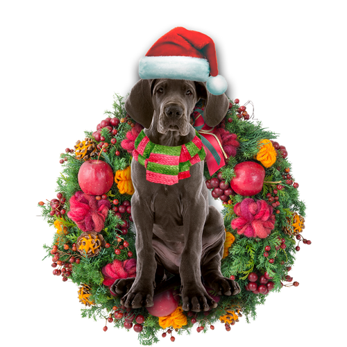 Godmerch- Ornament- Great Dane Christmas Ornament, Happy Christmas Ornament, Car Ornament