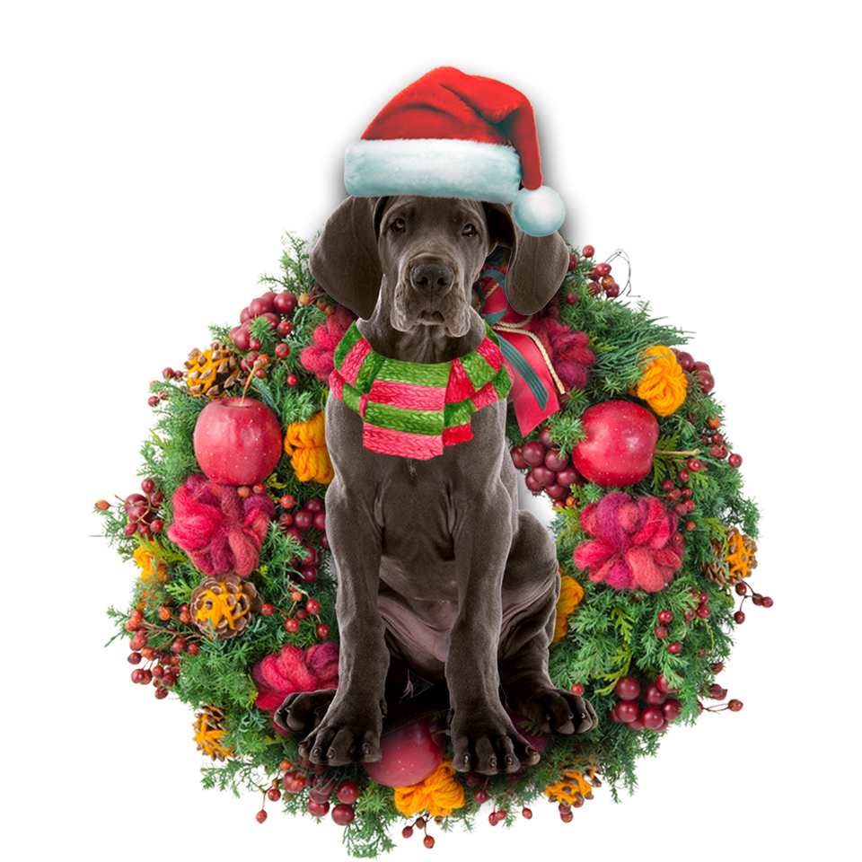 Godmerch- Ornament- Great Dane Christmas Ornament, Happy Christmas Ornament, Car Ornament