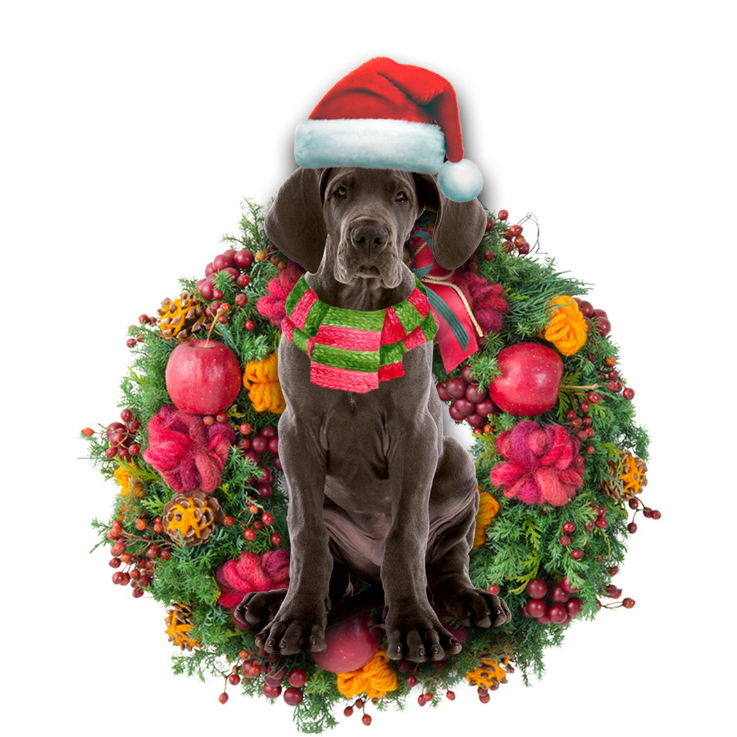 Godmerch- Ornament- Great Dane Christmas Ornament, Happy Christmas Ornament, Car Ornament