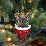 Ornament- Grey French Bulldog-In Christmas Pocket Two Sides Ornament, Happy Christmas Ornament, Car Ornament