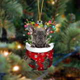 Grey French Bulldog-In Christmas Pocket Two Sides Ornament, Christmas Dog Hanging Ornament