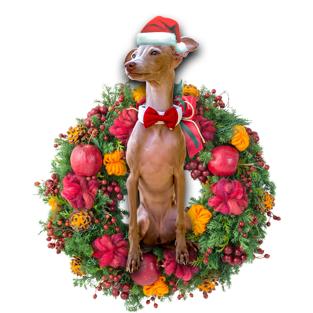 Godmerch- Ornament- Greyhound Christmas Ornament, Happy Christmas Ornament, Car Ornament