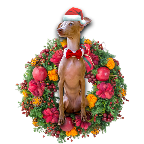 Godmerch- Ornament- Greyhound Christmas Ornament, Happy Christmas Ornament, Car Ornament