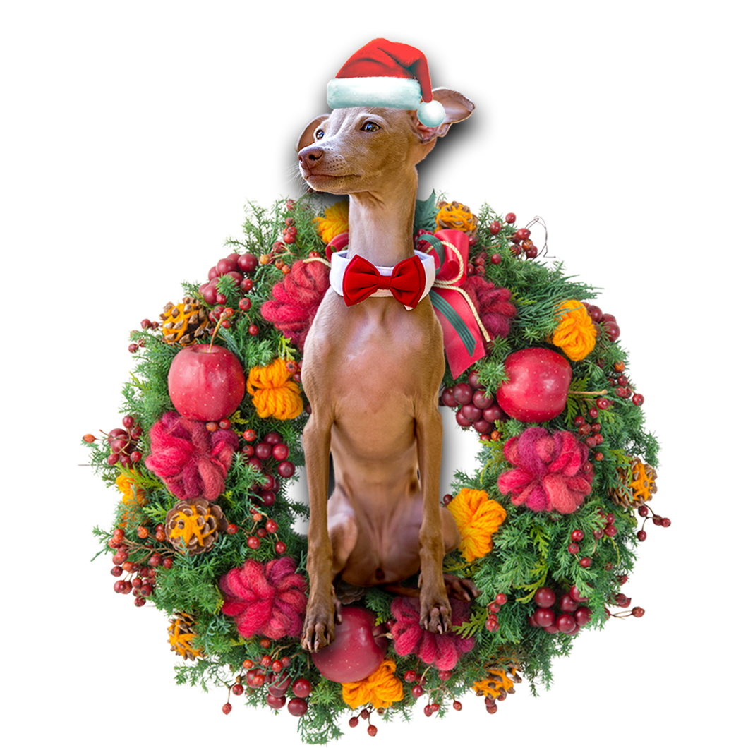 Godmerch- Ornament- Greyhound Christmas Ornament, Happy Christmas Ornament, Car Ornament