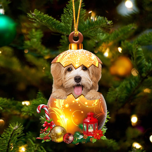 Havanese In Golden Egg Christmas Ornament