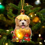 Havanese In Golden Egg Christmas Ornament