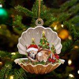 Ornament- Heeler3-Sleeping Pearl in Christmas Two Sided Ornament, Happy Christmas Ornament, Car Ornament