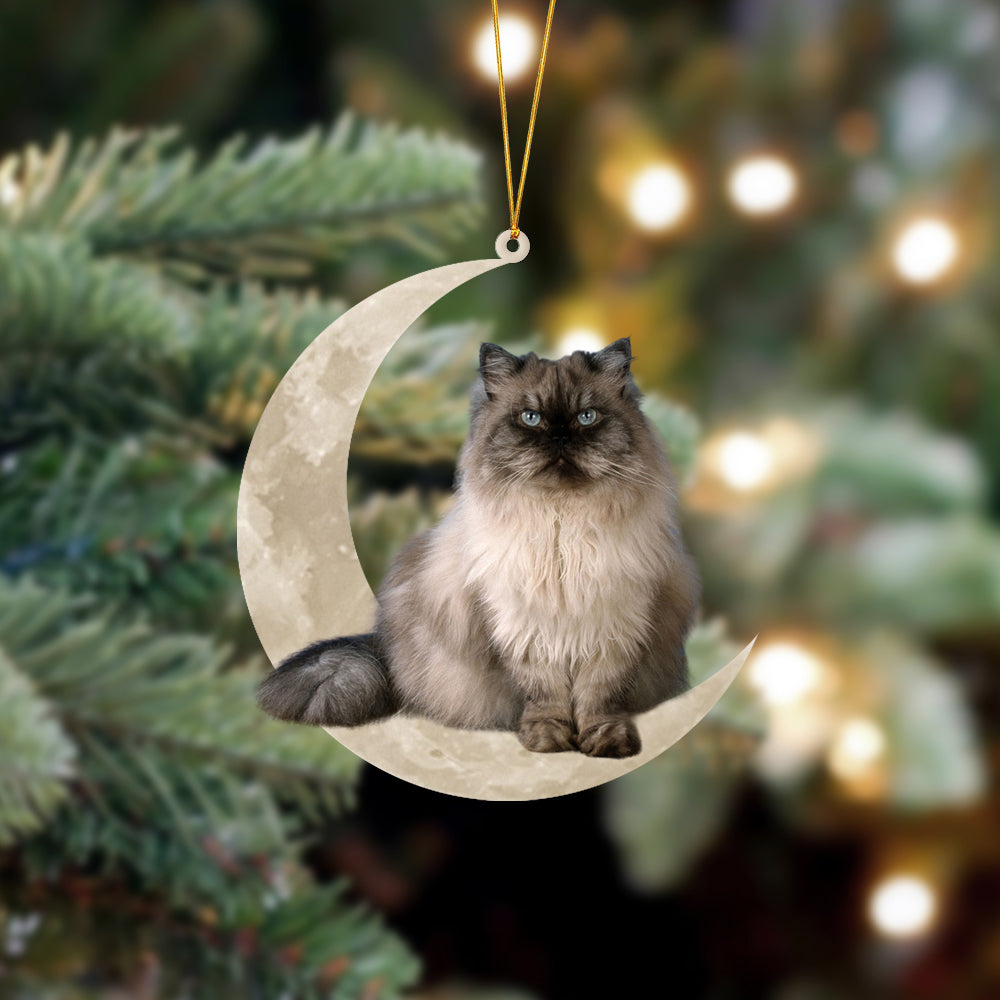 Himalayan Cat Sits On The Moon Hanging Ornament Cat Christmas Acrylic Ornament