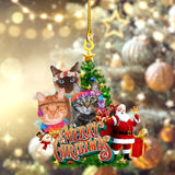 Hippie Cats Peace Life Color Ornament Cat With Santa Christmas Ornament