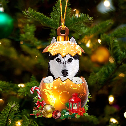 Husky2 In Golden Egg Christmas Ornament