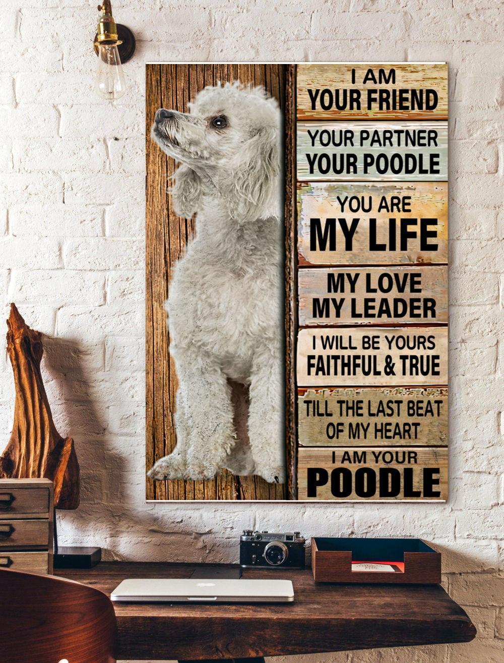 I Am Your Friend Your Partner Poodle Canvas And Poster, Wall Decor Visual Art