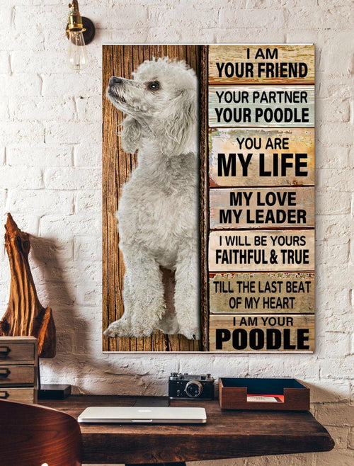 I Am Your Friend Your Partner Poodle Canvas And Poster, Wall Decor Visual Art