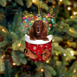 Irish Setter In Snow Pocket Christmas Ornament Flat Acrylic Dog Ornament