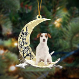 Godmerch- Jack Russell Terrier I Love You To The Moon And Back Hanging Ornament, Car Ornament, Christmas Ornament